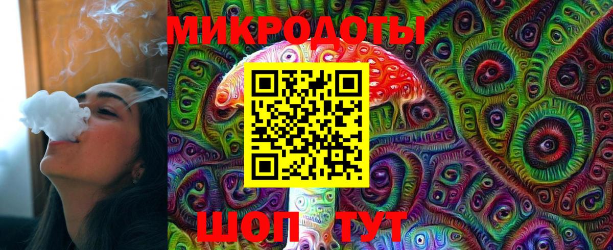 Грязи  Псилоцибиновые грибы Psilocybe  Вход с VPN 
