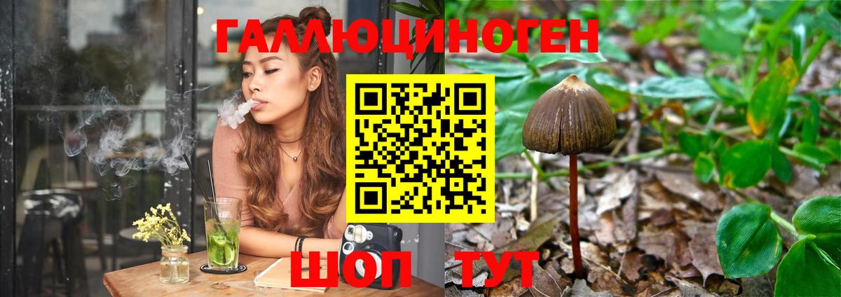 Псилоцибиновые грибы Cubensis Грязи